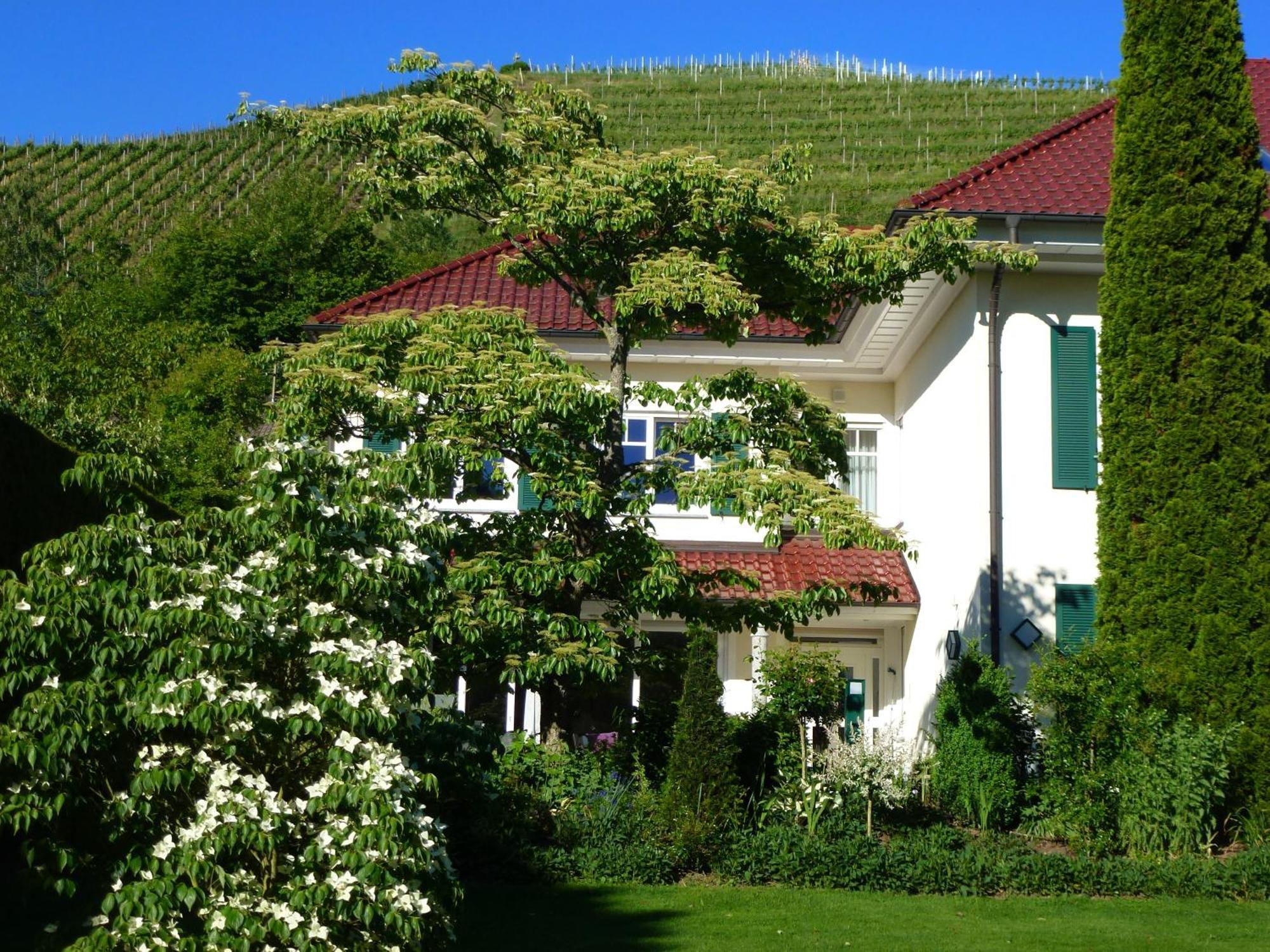 Baumanns Landhaus Durbach Værelse billede
