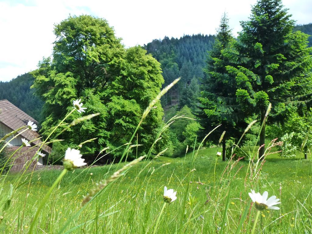 Baumanns Landhaus Durbach Eksteriør billede